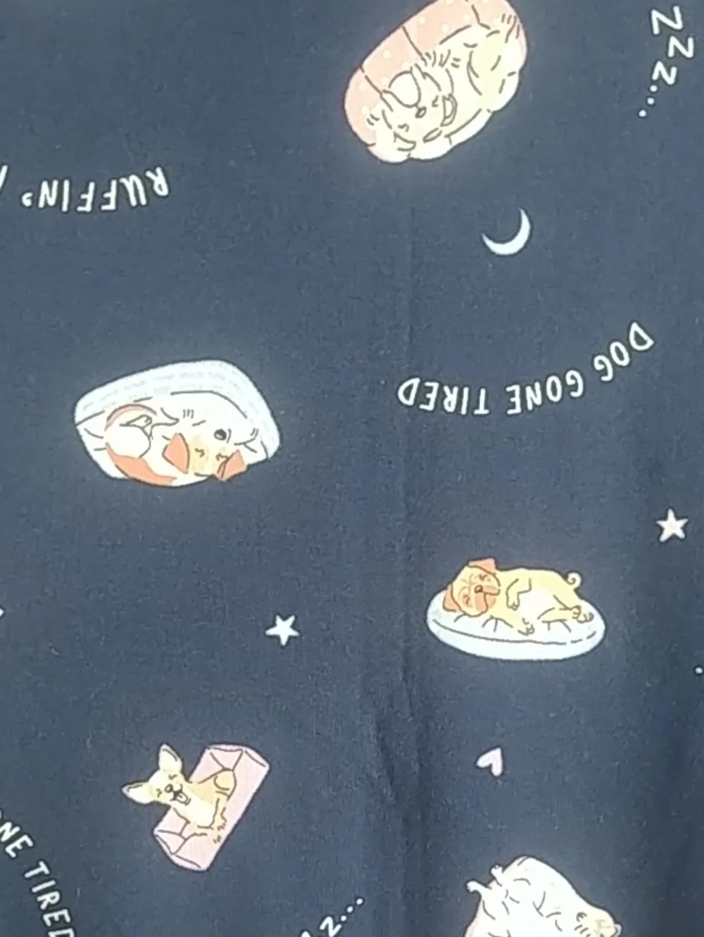 Joyspun Women's Dreamy Soft Collection Sleepshirt